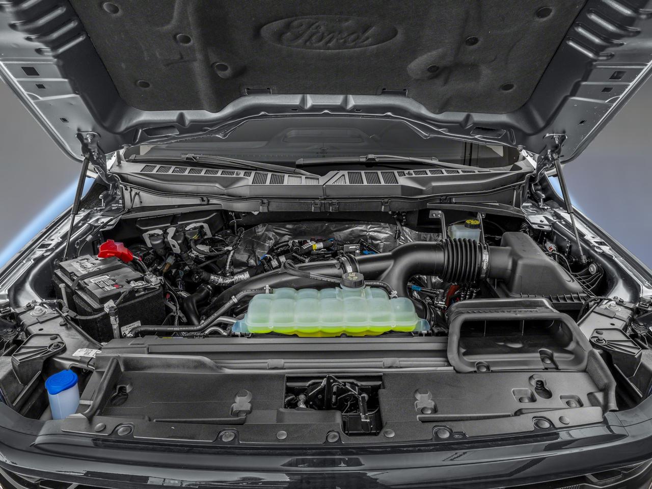 2025 Ford F-150 Hybrid XLT Photo