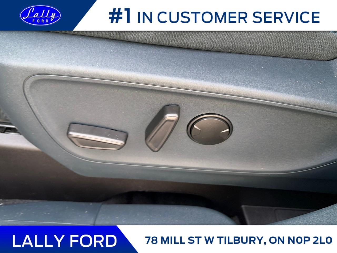 2026 Ford Maverick XLT AWD SuperCrew Photo