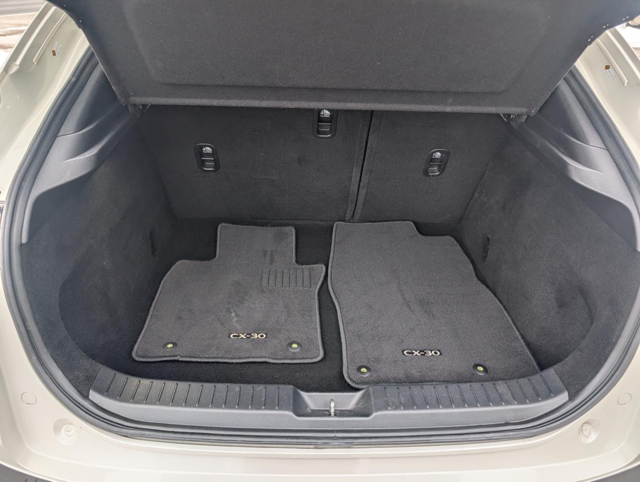 2020 Mazda CX-30 GS Photo