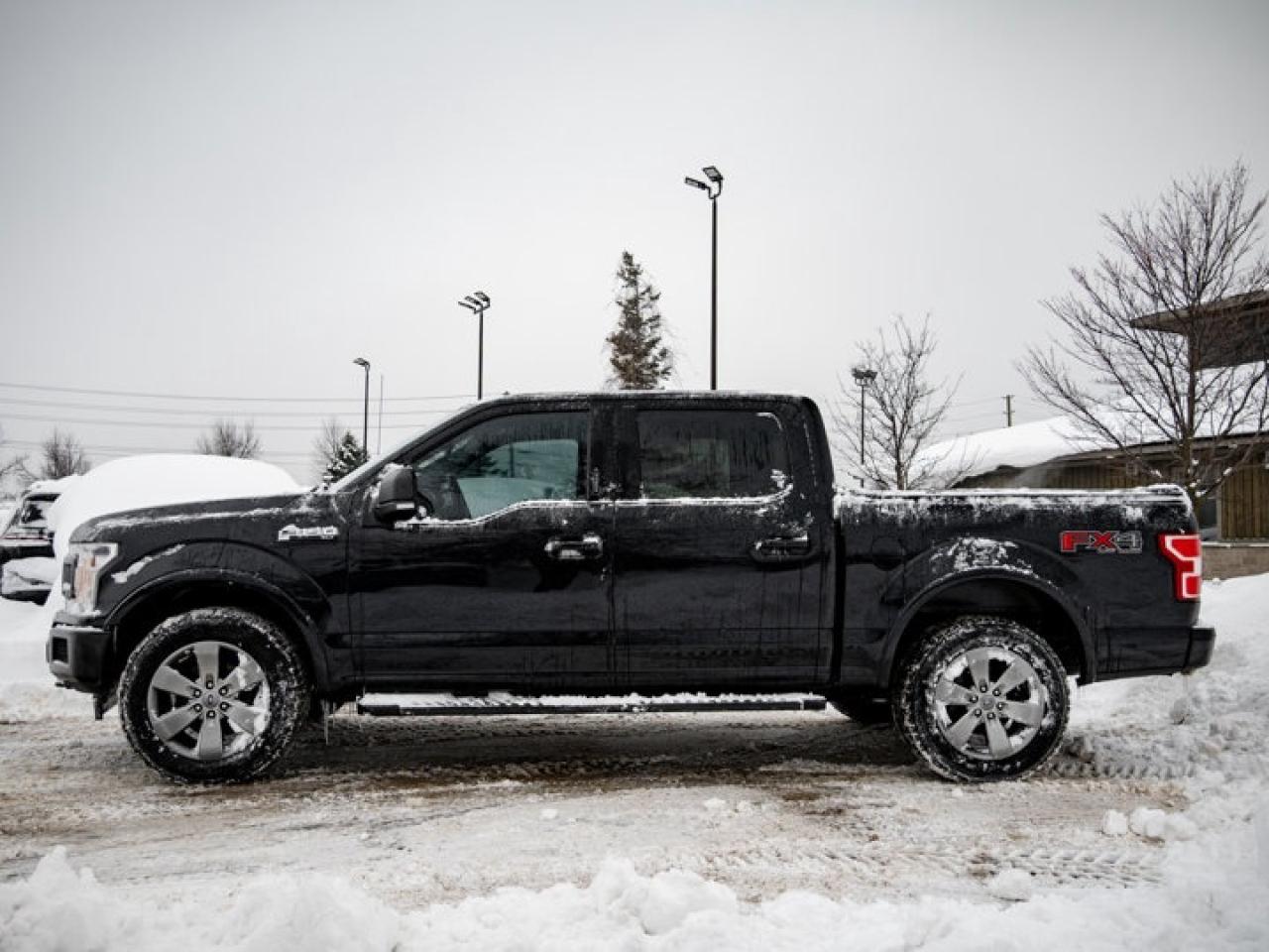 2020 Ford F-150  Photo4