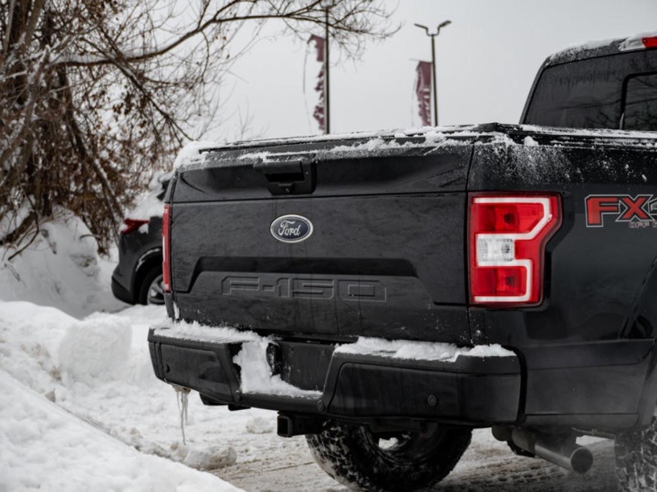 2020 Ford F-150  Photo