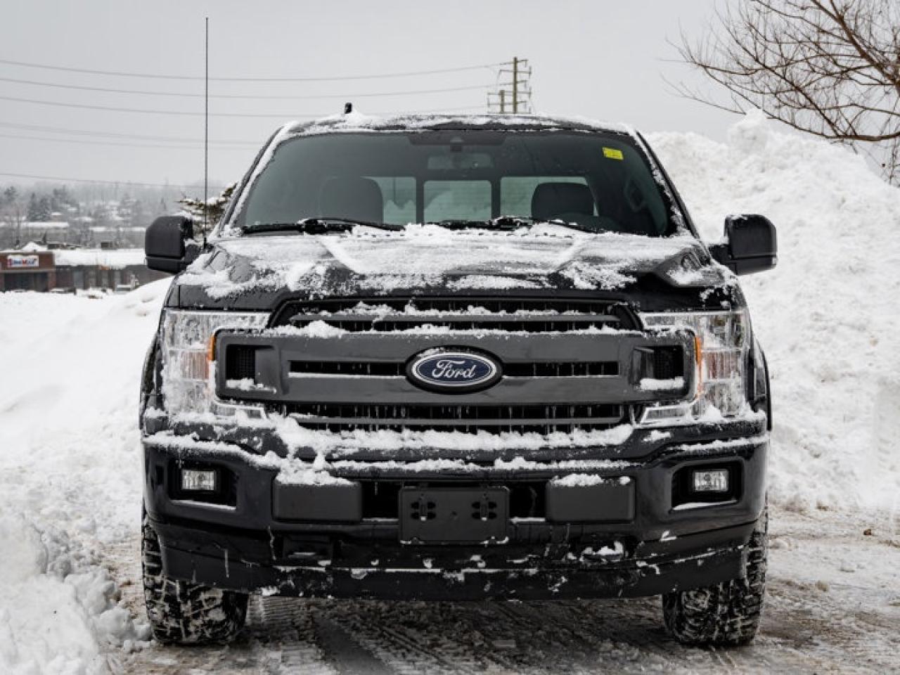 2020 Ford F-150  Photo