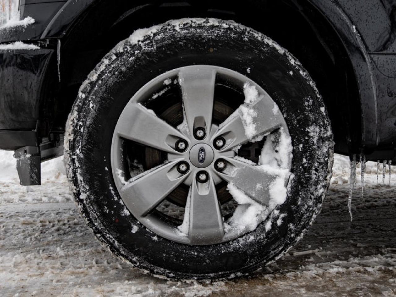 2020 Ford F-150  Photo