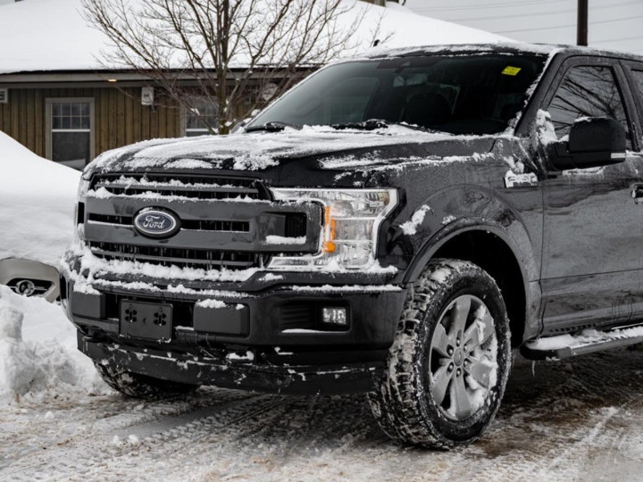 2020 Ford F-150  Photo