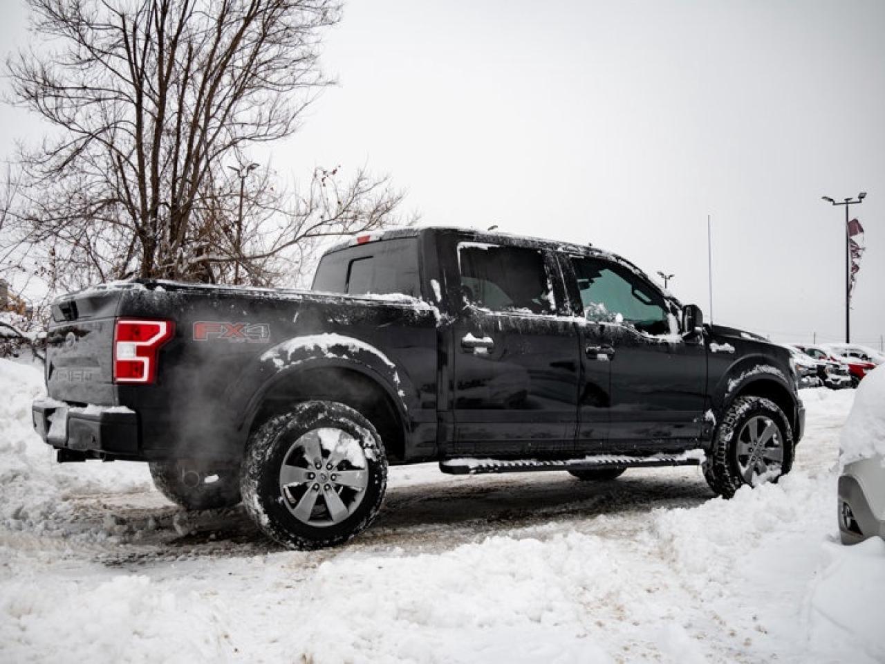 2020 Ford F-150  Photo