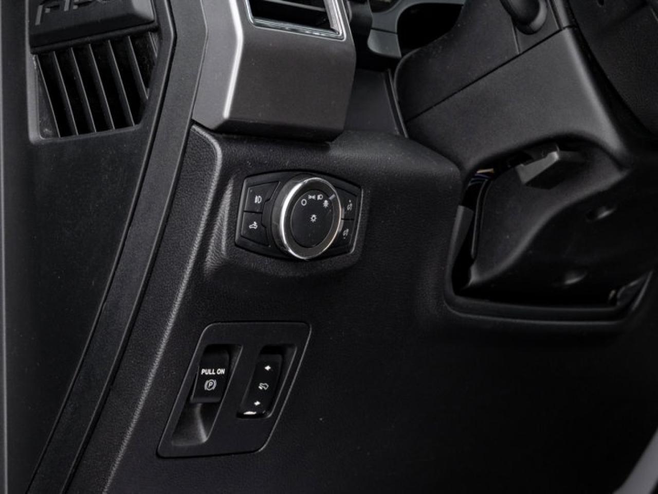 2020 Ford F-150  Photo