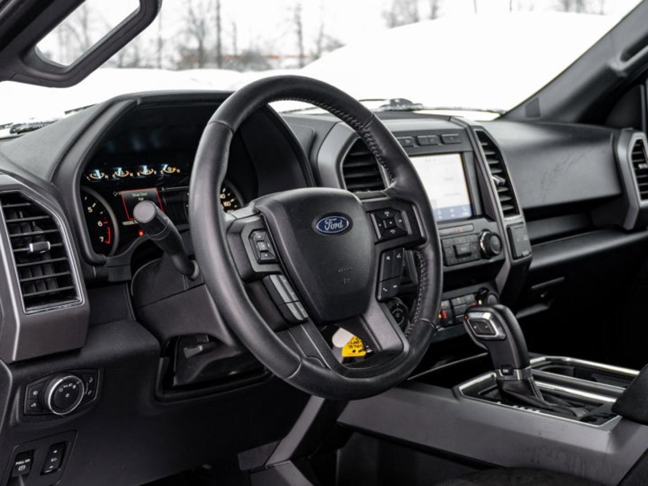 2020 Ford F-150  Photo
