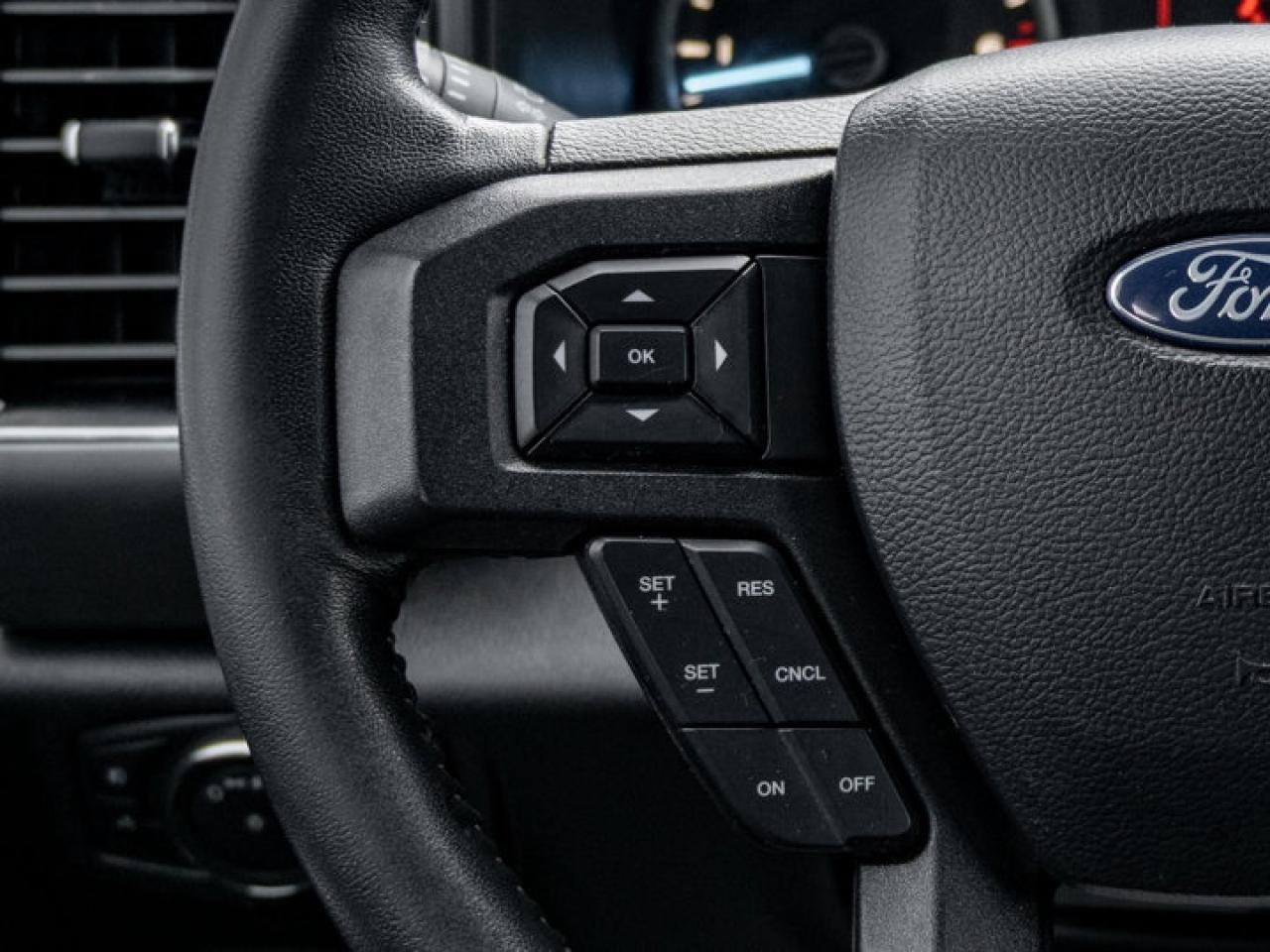 2020 Ford F-150  Photo