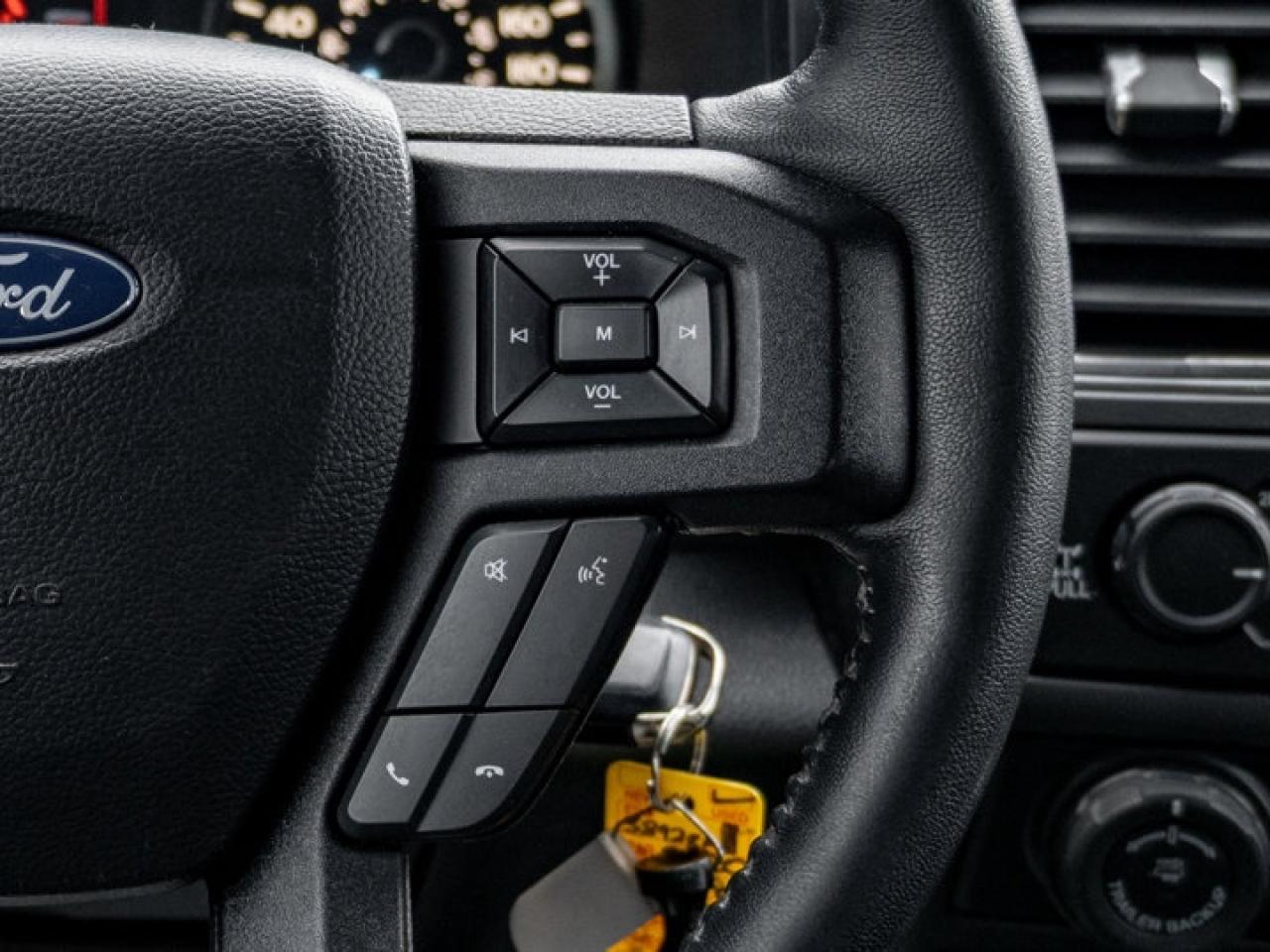 2020 Ford F-150  Photo