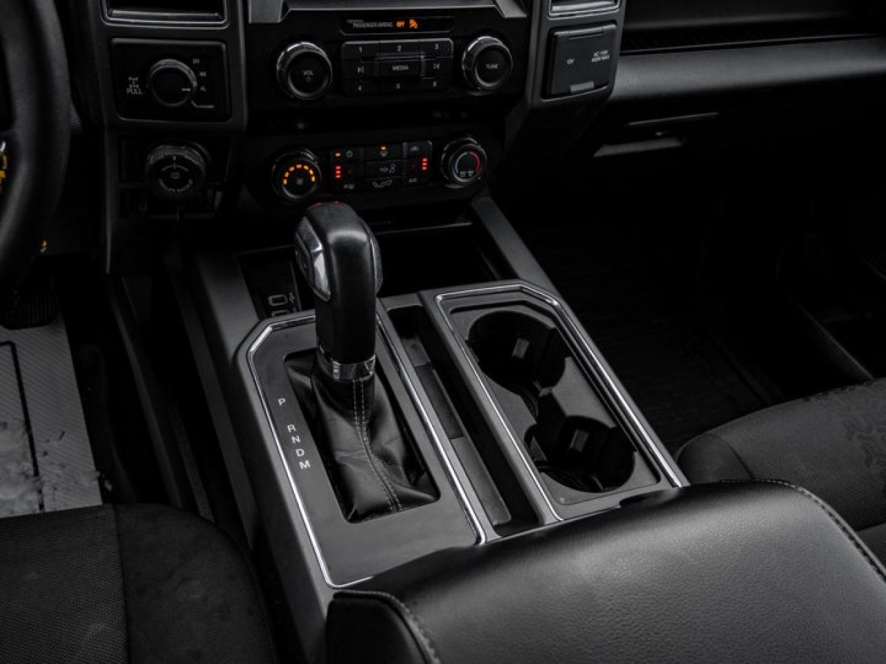 2020 Ford F-150  Photo