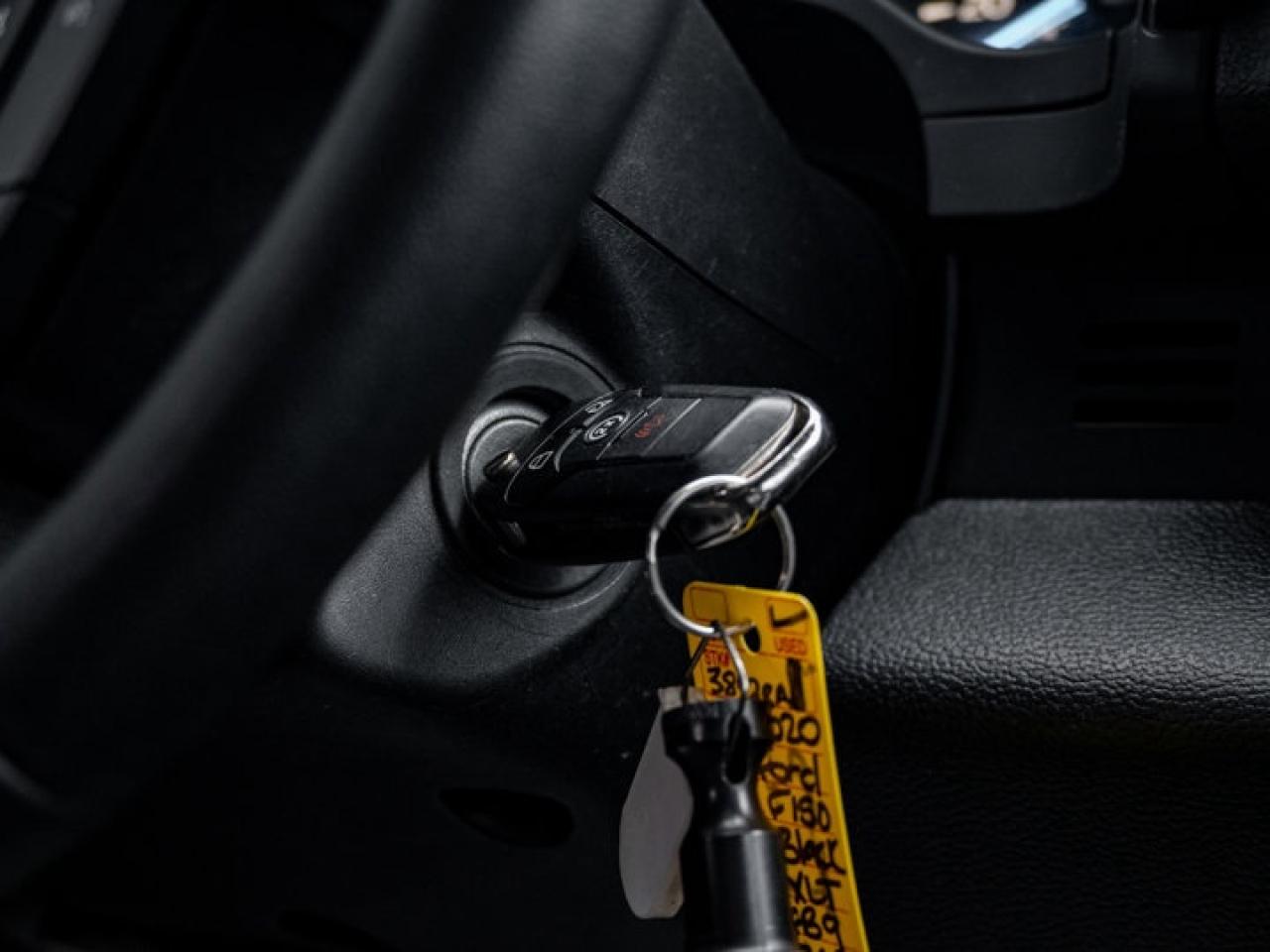 2020 Ford F-150  Photo