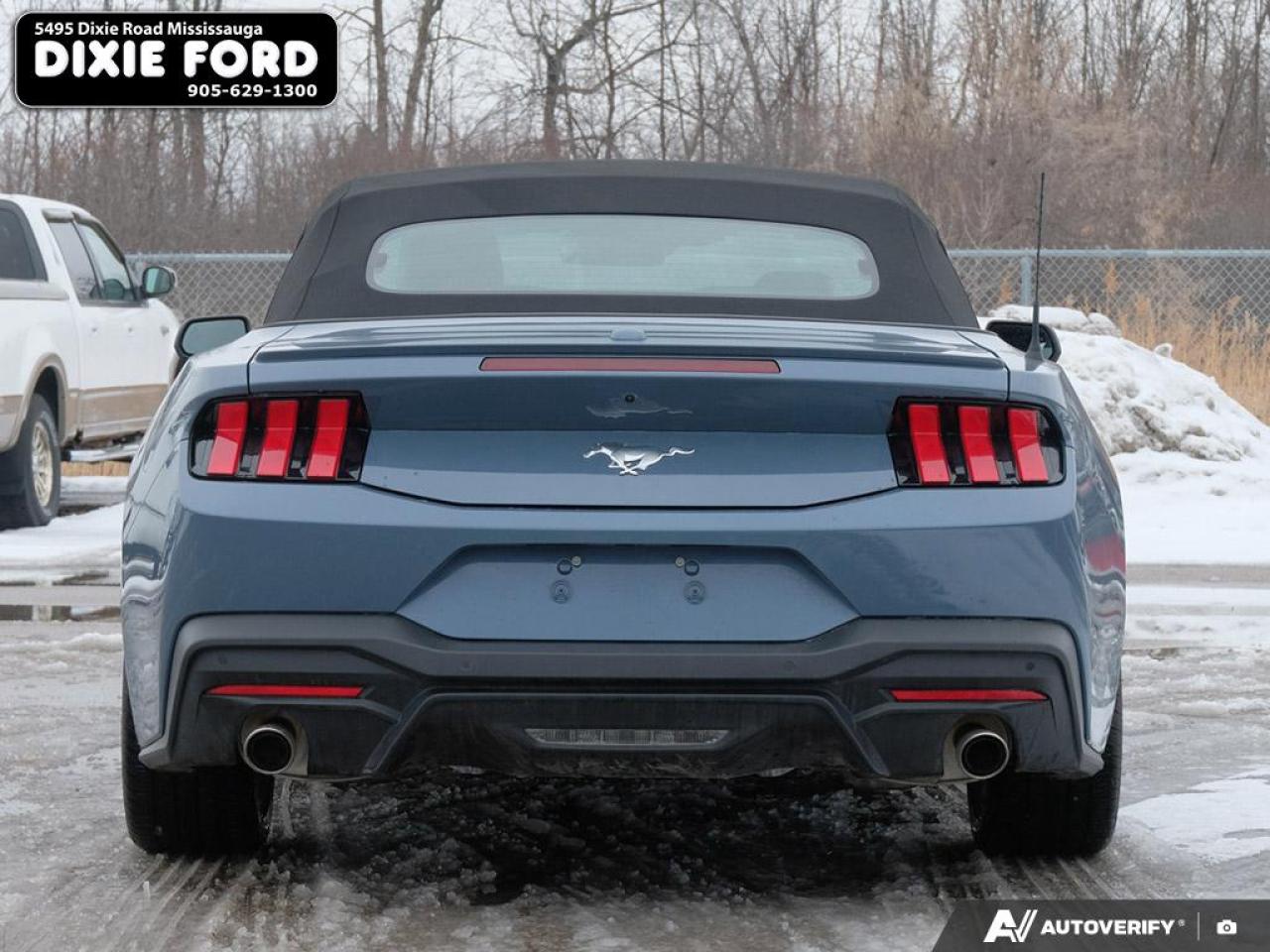 2025 Ford Mustang EcoBoost Premium Photo