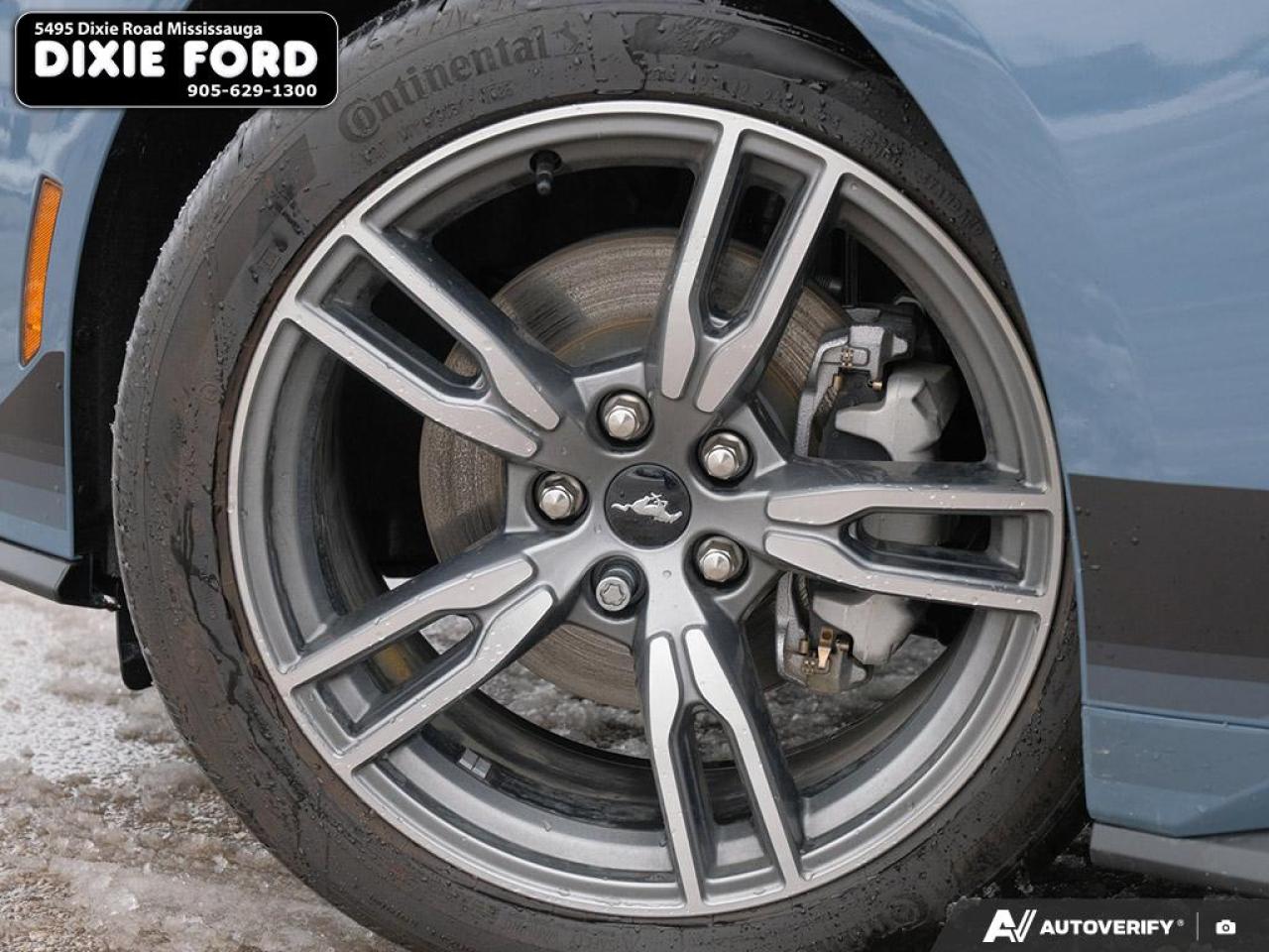 2025 Ford Mustang EcoBoost Premium Photo