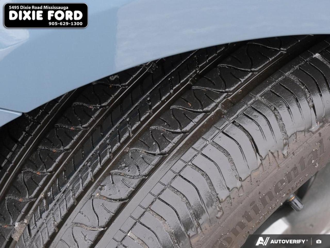 2025 Ford Mustang EcoBoost Premium Photo