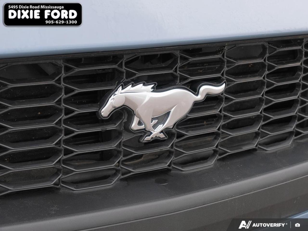 2025 Ford Mustang EcoBoost Premium Photo