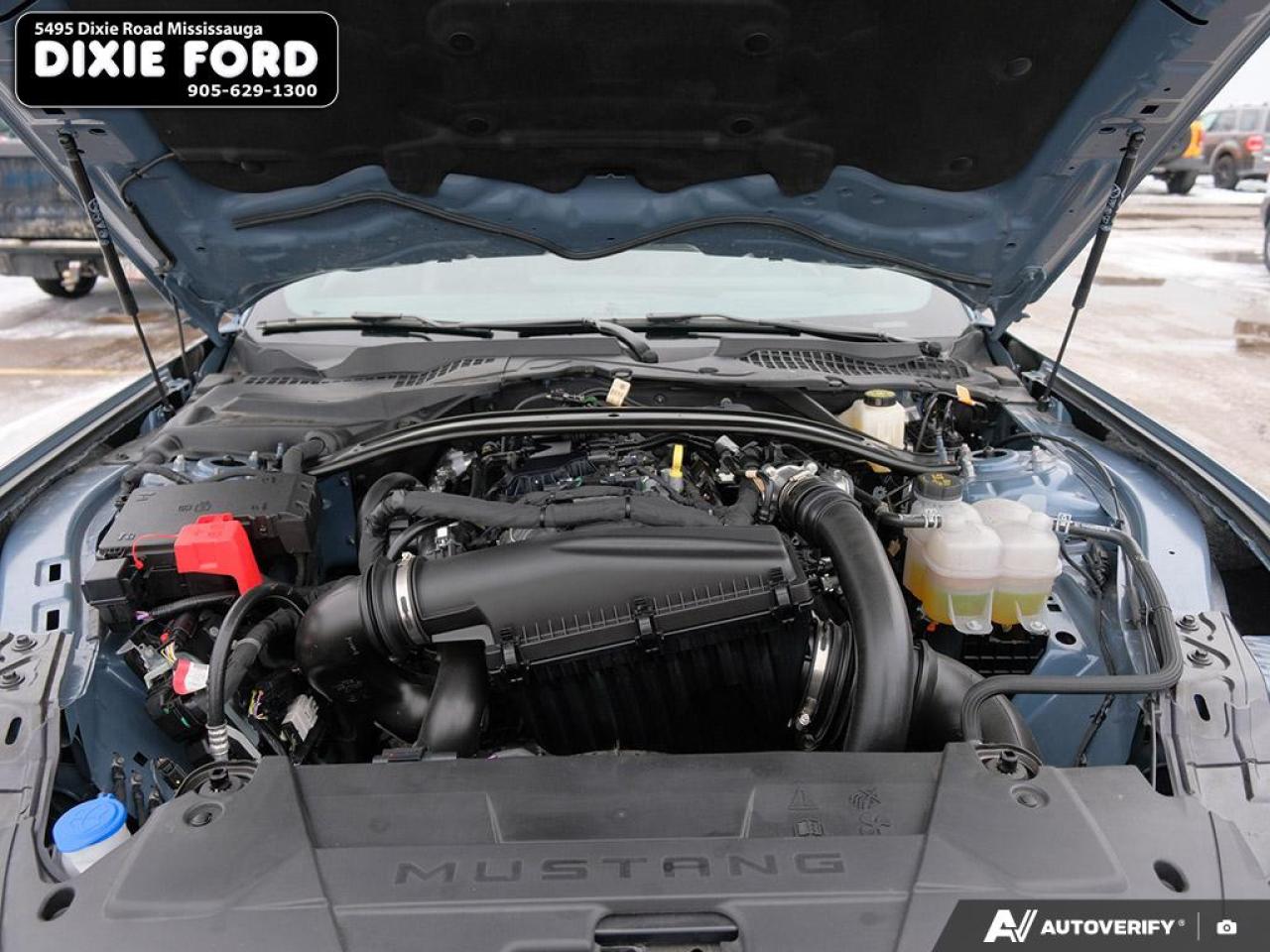 2025 Ford Mustang EcoBoost Premium Photo