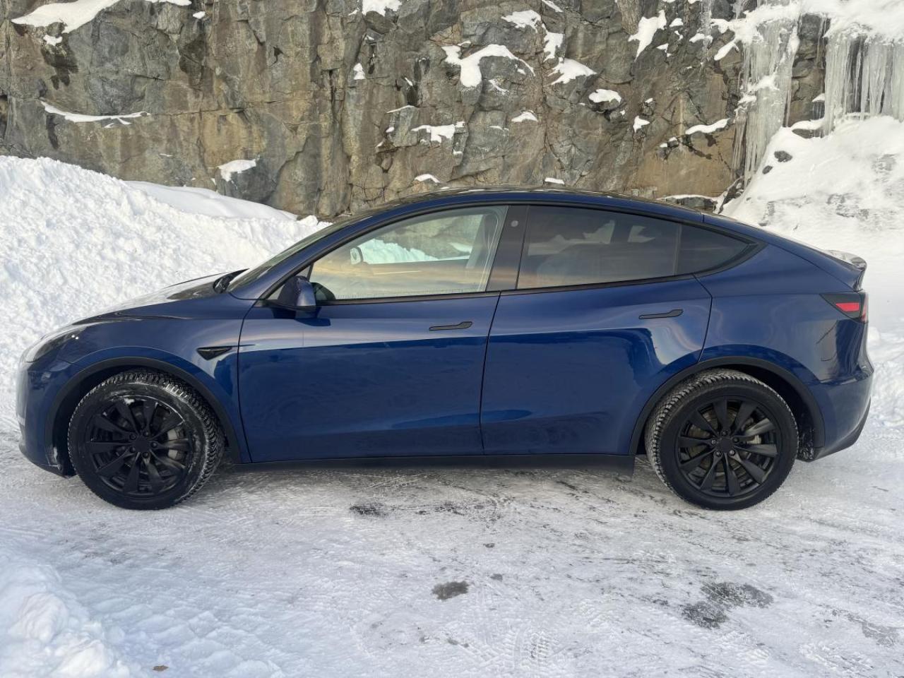 2023 Tesla Model Y Long Range AWD Photo