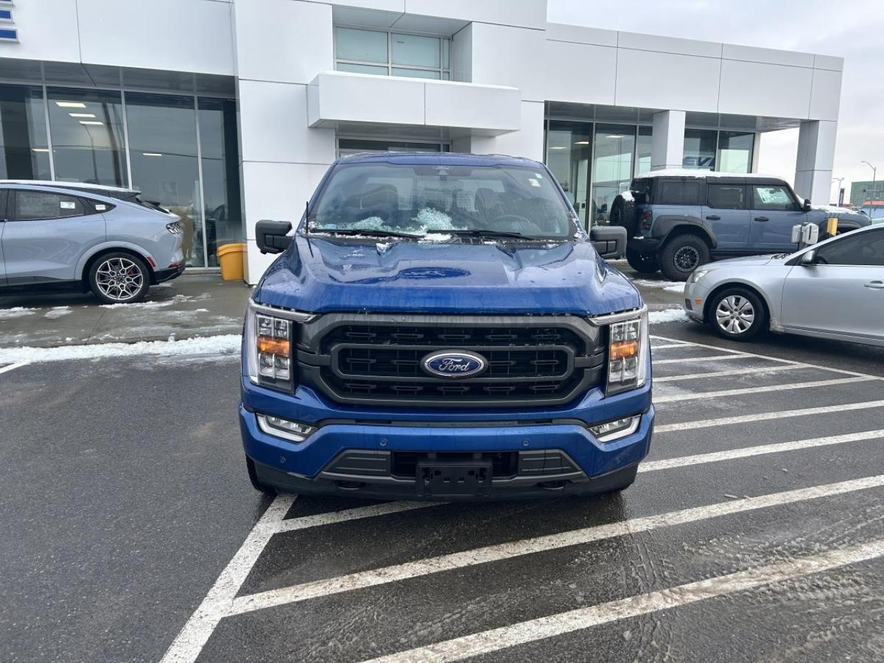 2022 Ford F-150 XLT Photo