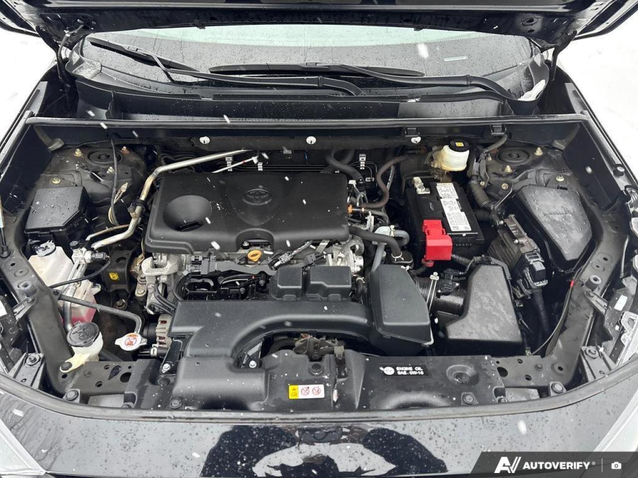 2022 Toyota RAV4 LE   CLEAN CARFAX   ONE OWNER   CARPLAY   HEATED S Photo