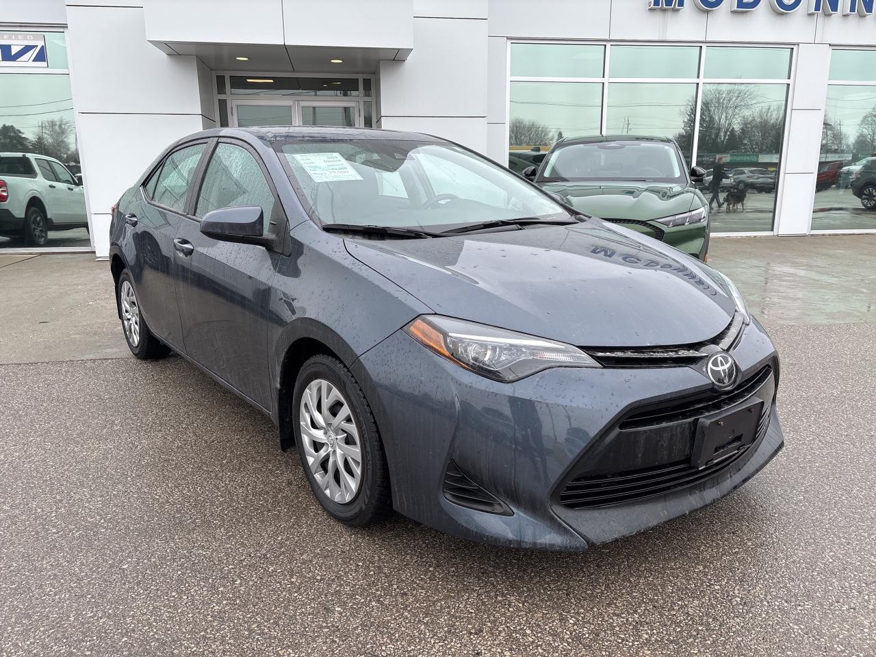 2019 Toyota Corolla LE CVT Photo