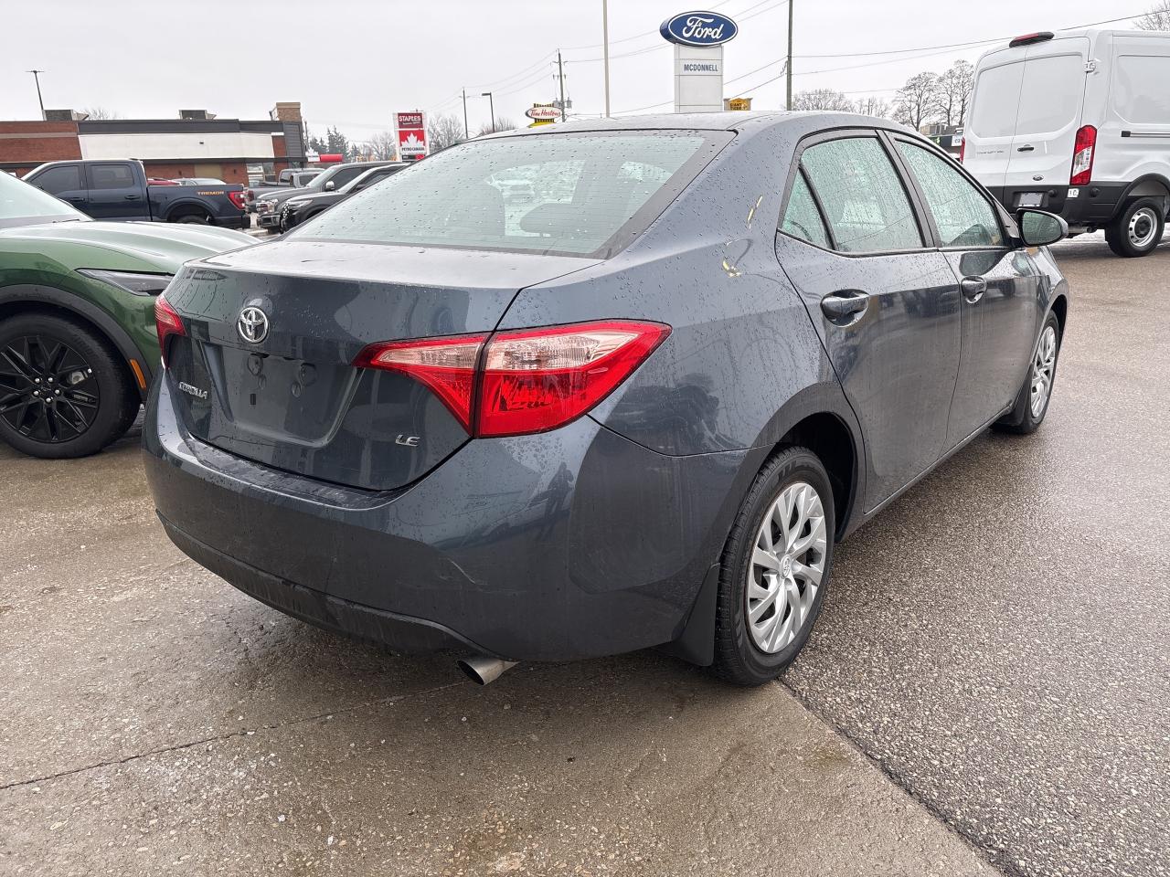 2019 Toyota Corolla LE CVT Photo