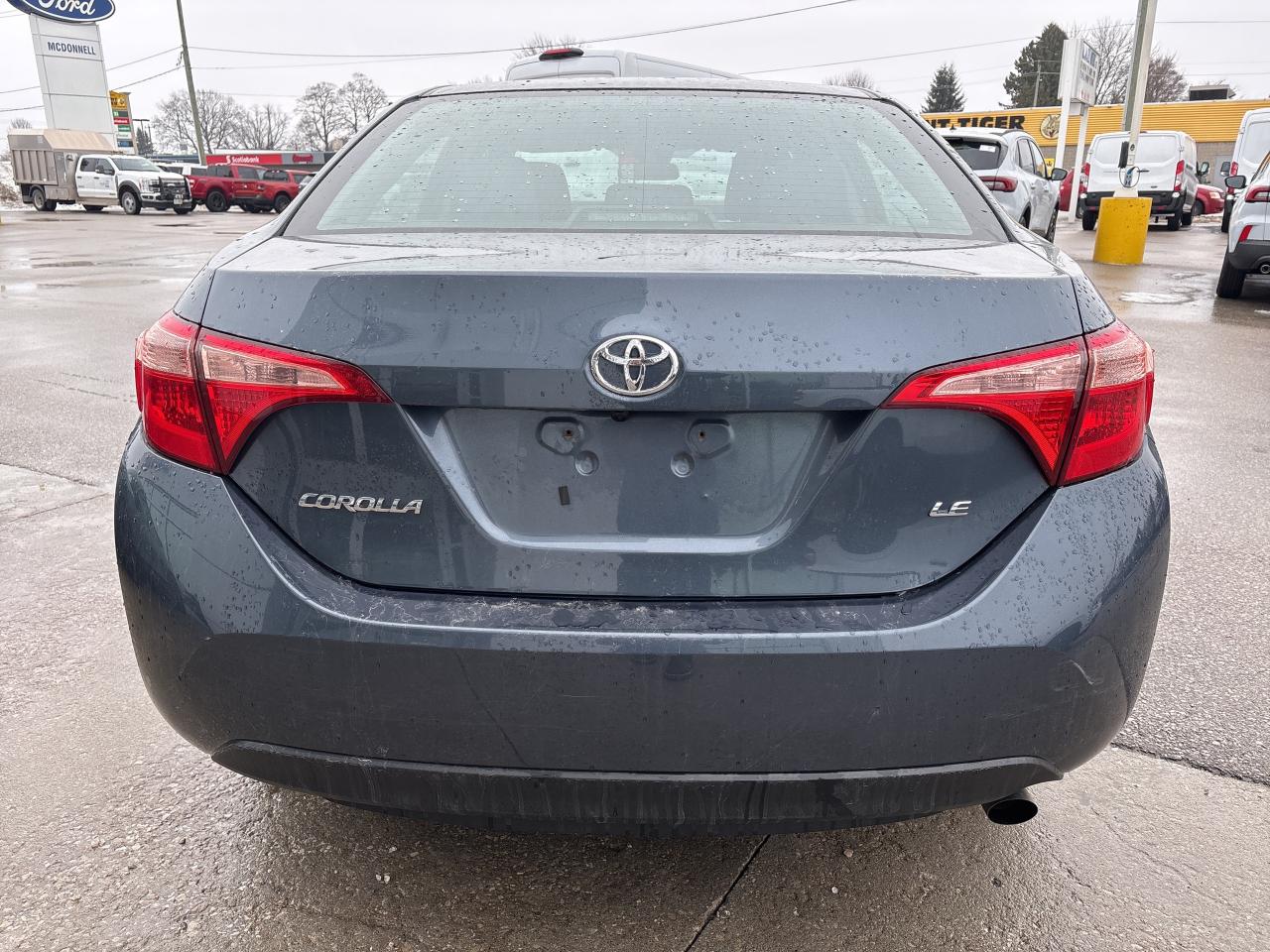2019 Toyota Corolla LE CVT Photo