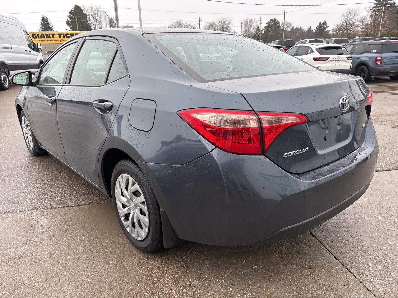 2019 Toyota Corolla LE CVT Photo