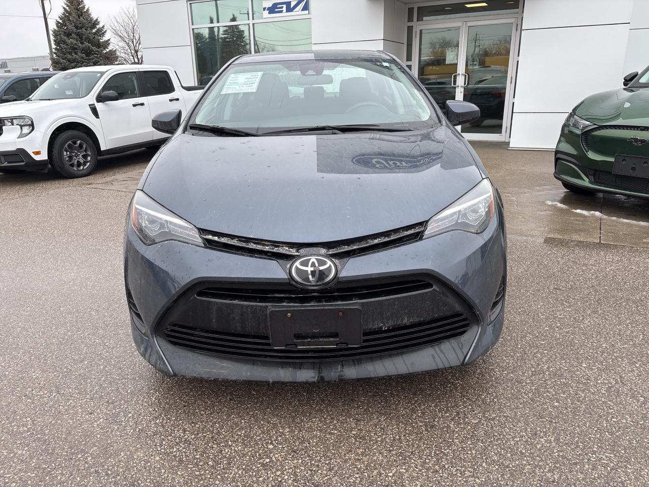 2019 Toyota Corolla LE CVT Photo