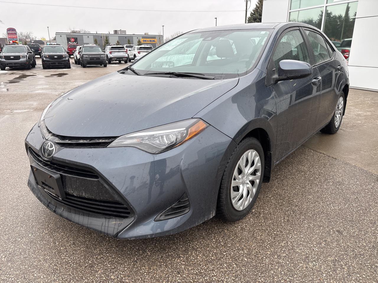 2019 Toyota Corolla LE CVT Photo