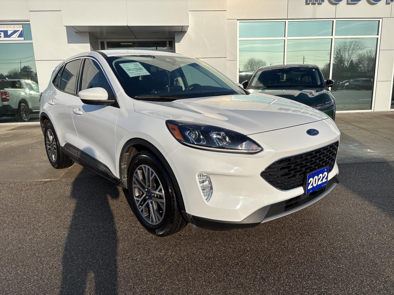 2022 Ford Escape SEL FWD Photo