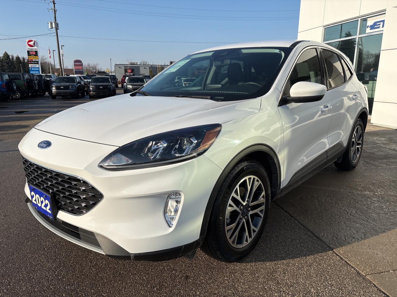 2022 Ford Escape SEL FWD Photo