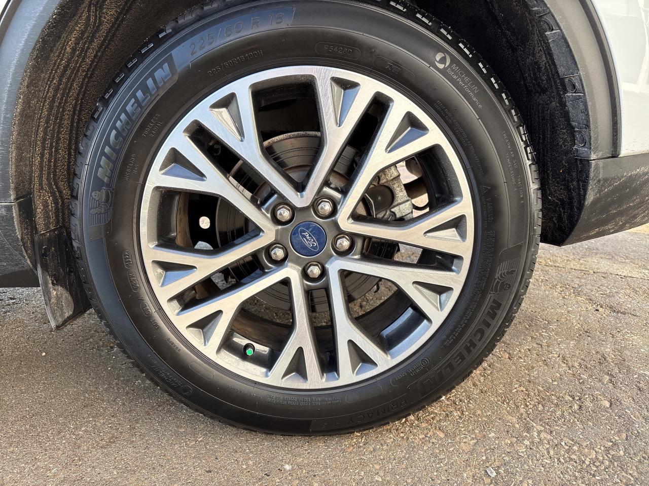 2022 Ford Escape SEL FWD Photo