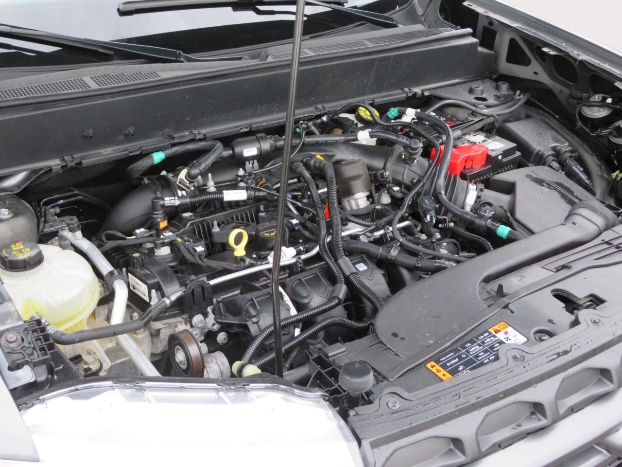 2024 Ford Maverick XLT AWD SuperCrew Photo