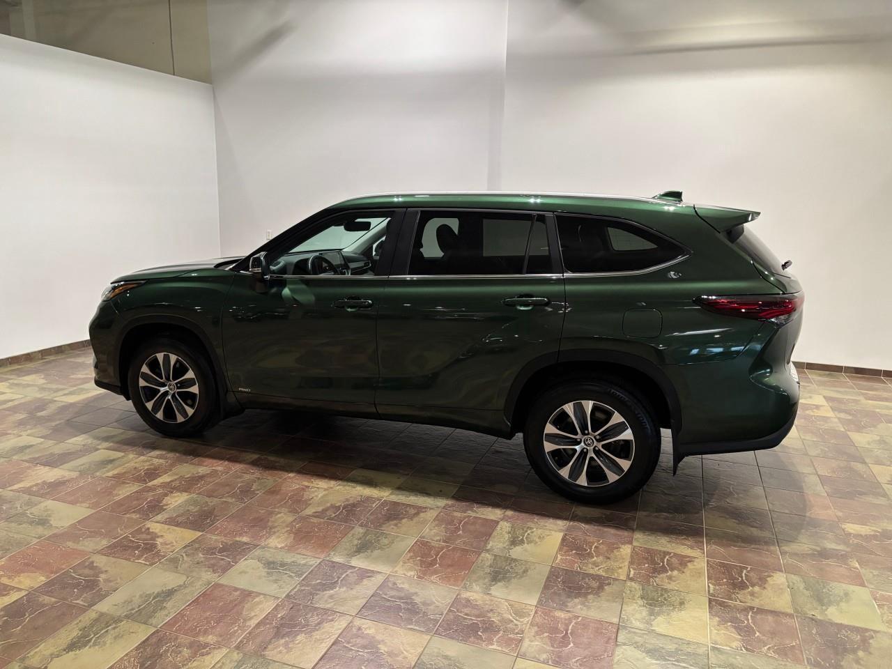 2024 Toyota Highlander Hybrid XLE Photo