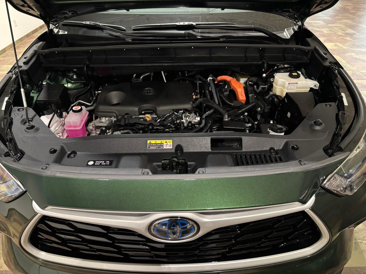 2024 Toyota Highlander Hybrid XLE Photo