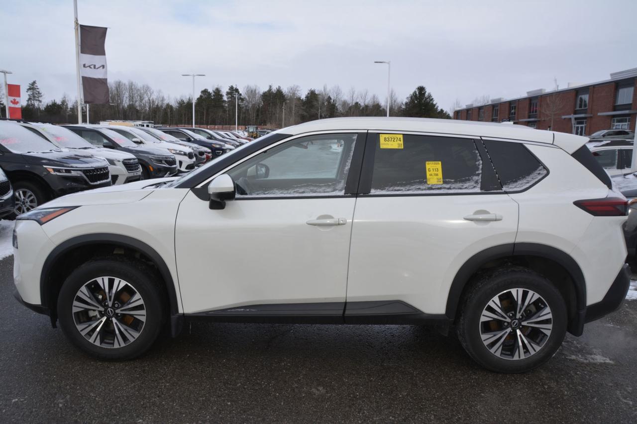 2023 Nissan Rogue ROGUE Photo