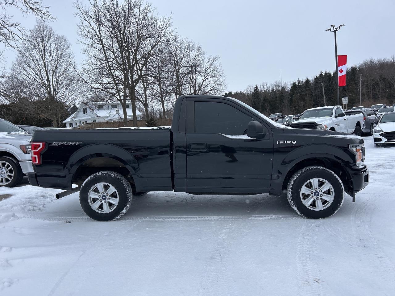 2020 Ford F-150 XL, RWD, 5 LITER, 3 PASSENGER, BACK UP CAMERA! Photo4