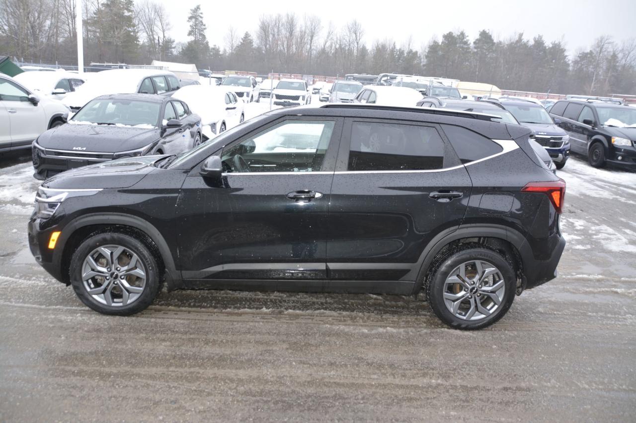 2024 Kia Seltos SELTOS S Photo