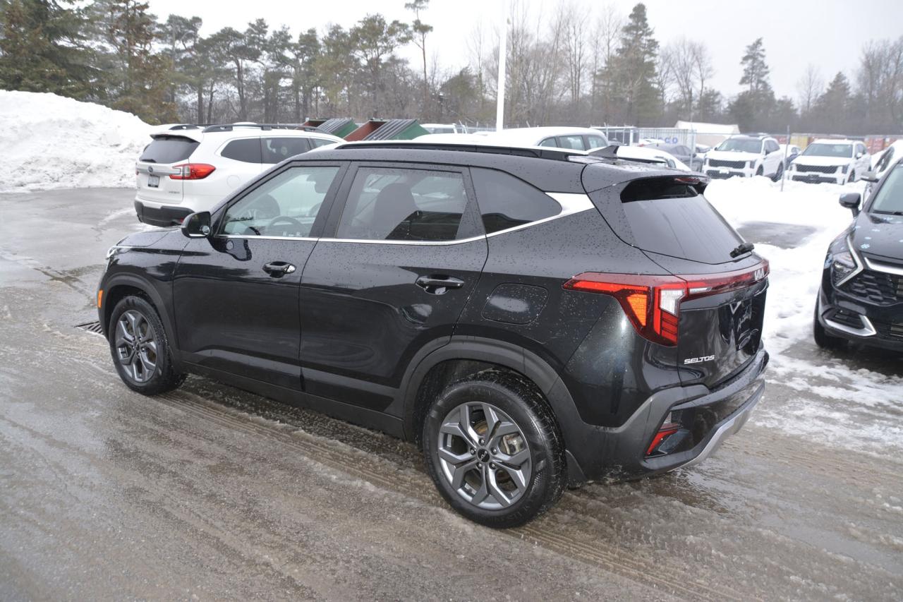 2024 Kia Seltos SELTOS S Photo