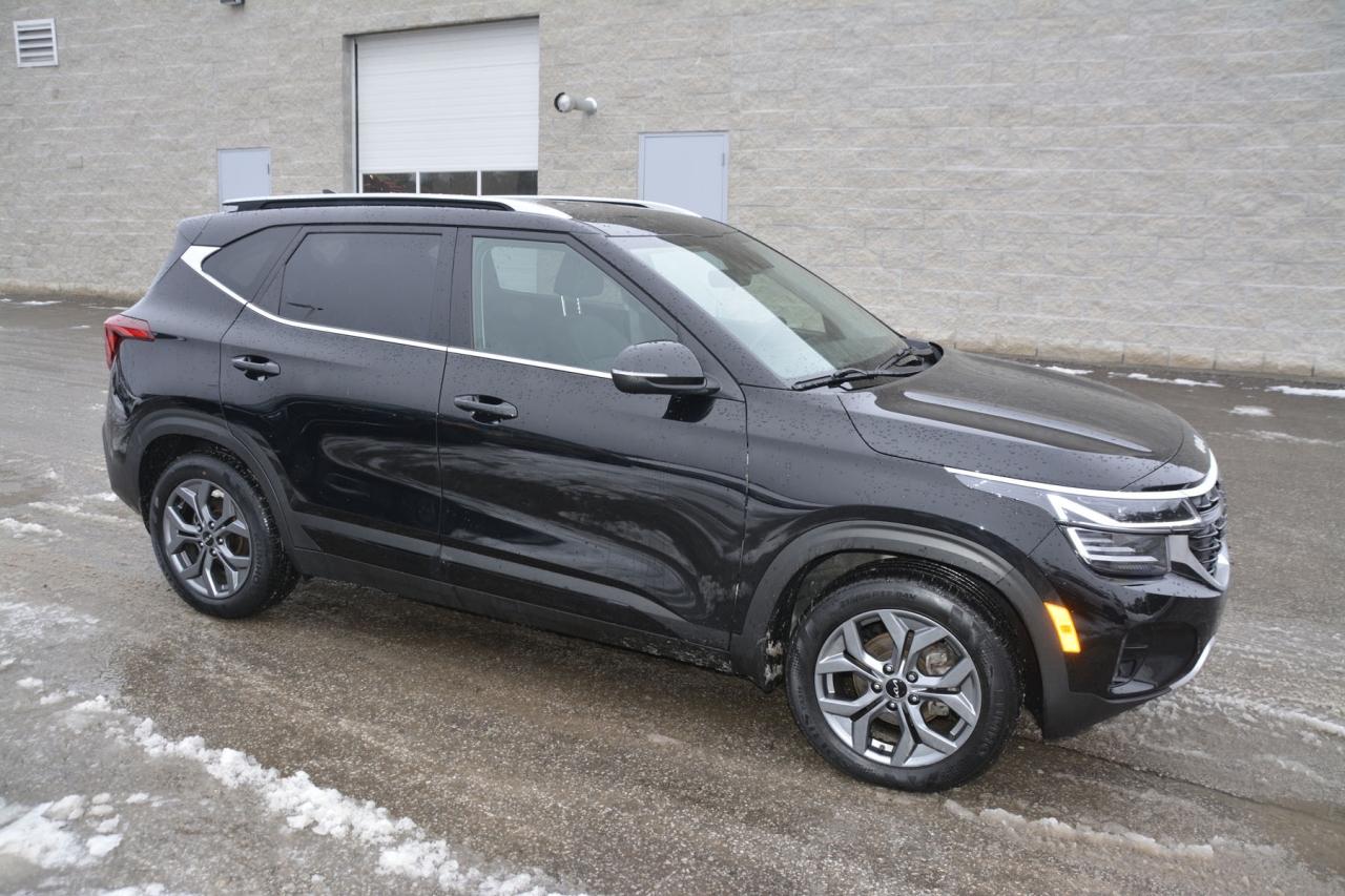 2024 Kia Seltos SELTOS S Photo