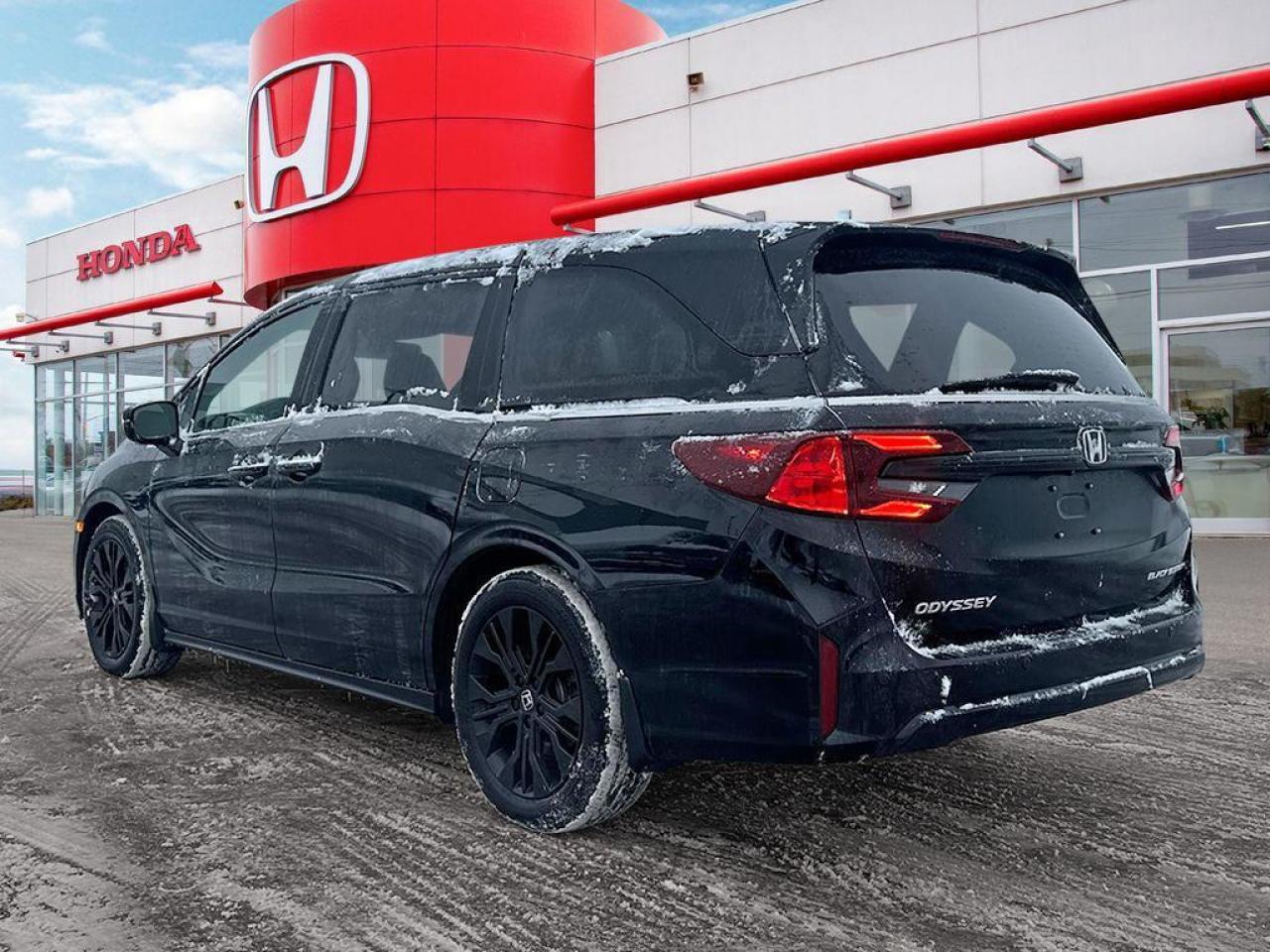 2025 Honda Odyssey Black Edition Photo