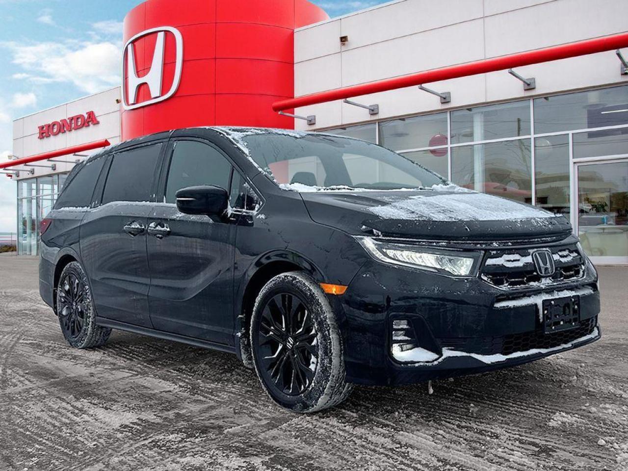 2025 Honda Odyssey Black Edition Photo