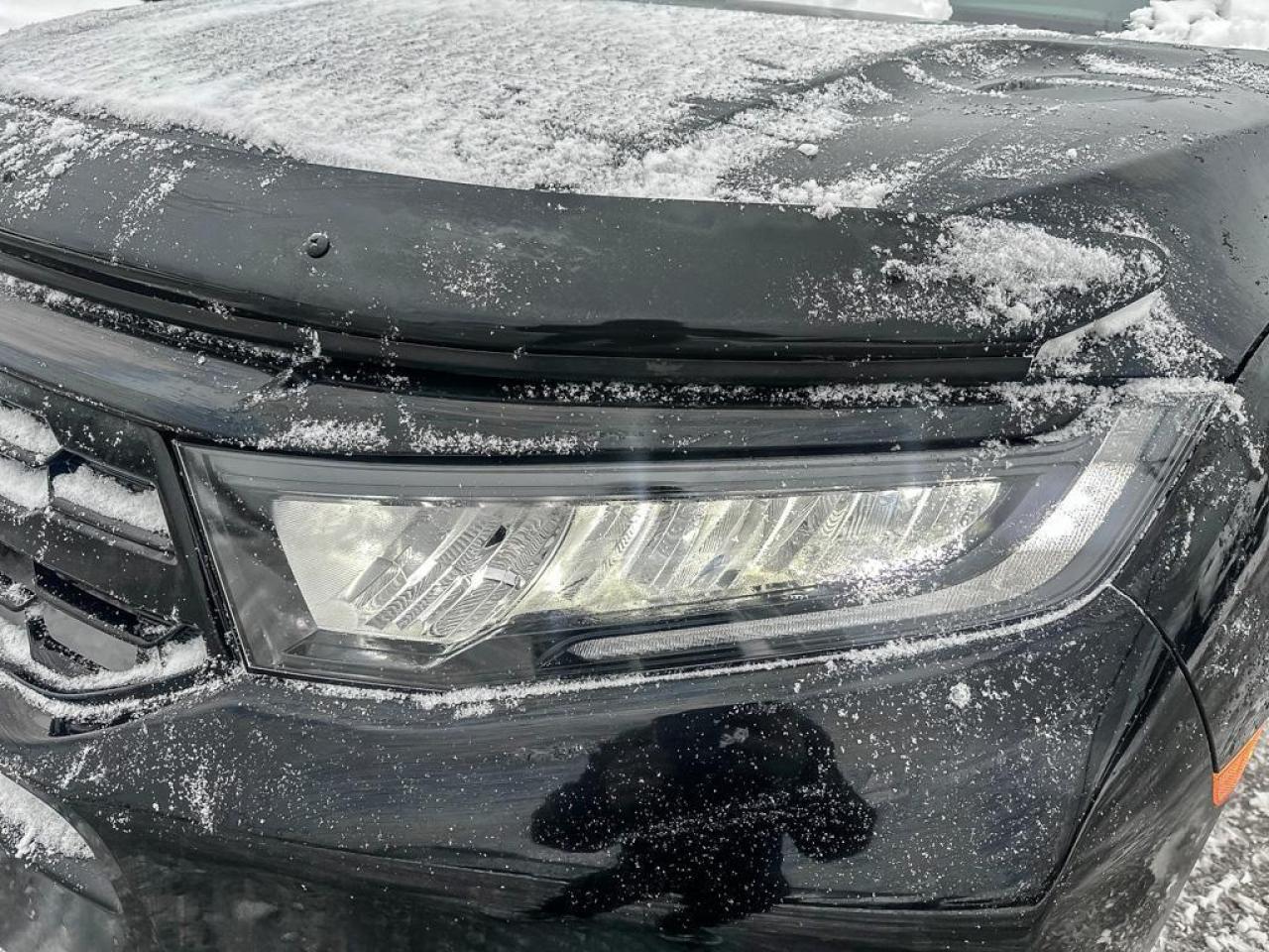 2025 Honda Odyssey Black Edition Photo