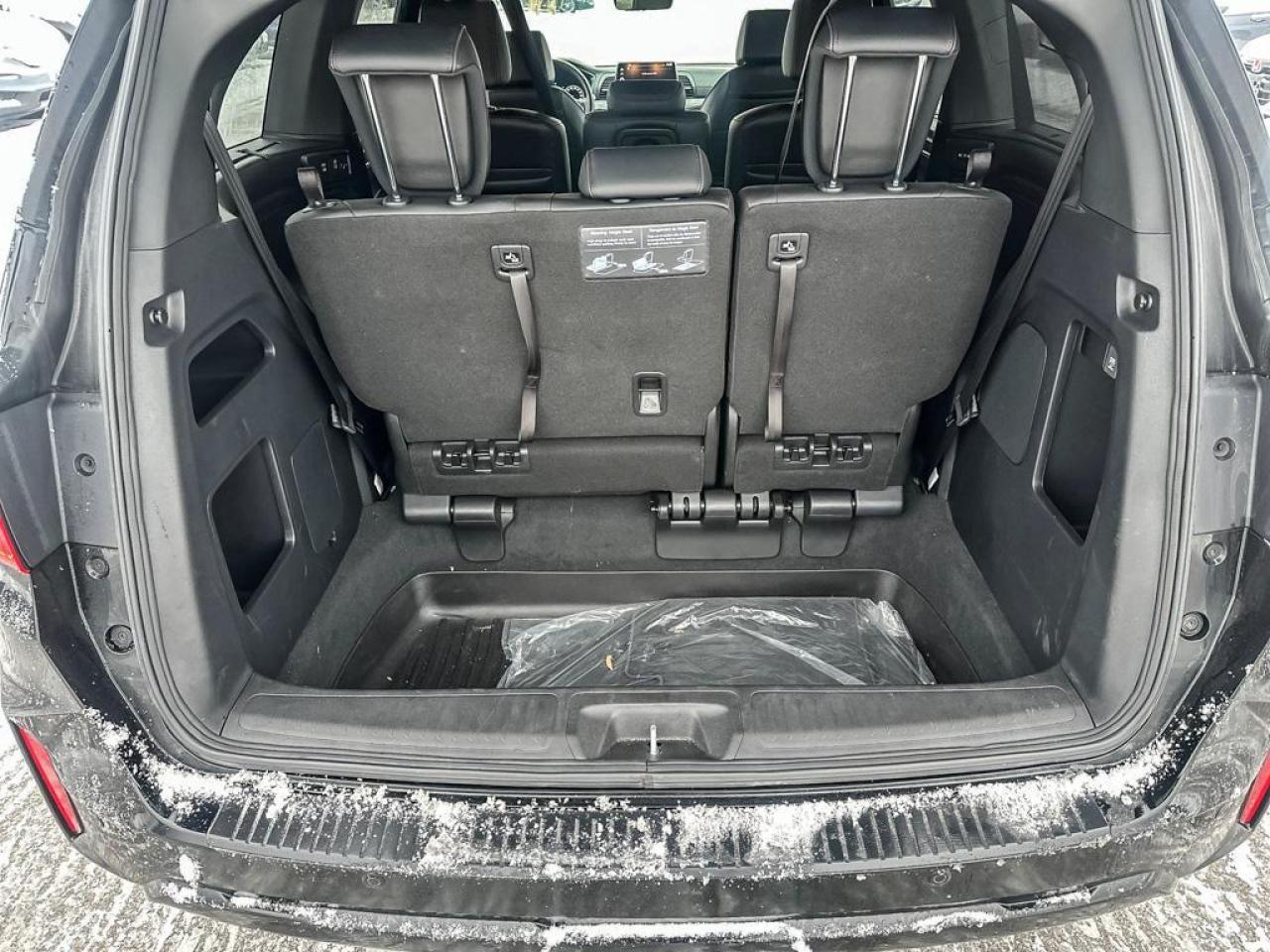 2025 Honda Odyssey Black Edition Photo