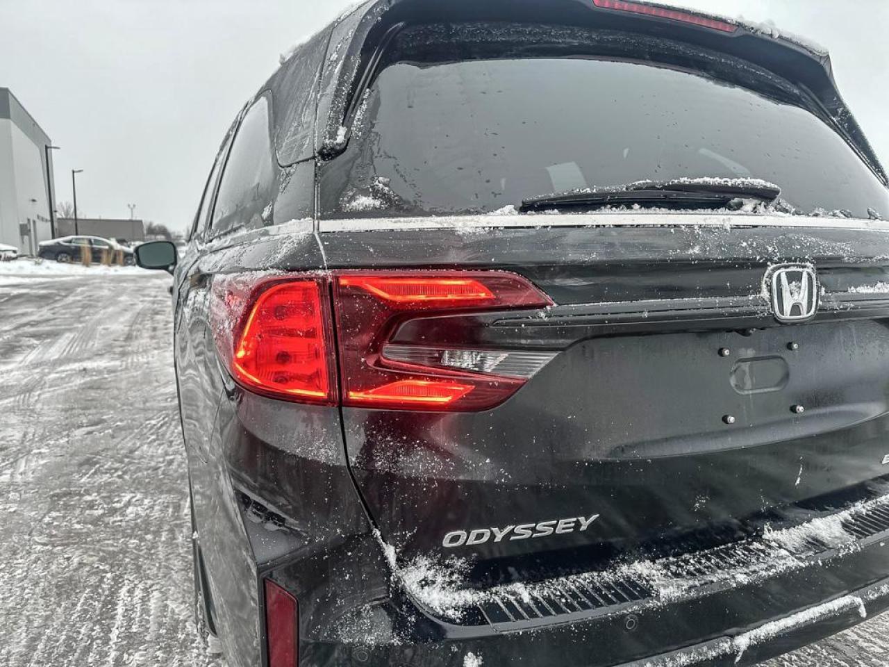 2025 Honda Odyssey Black Edition Photo