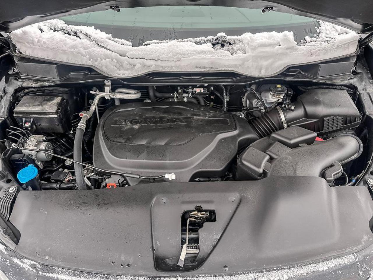 2025 Honda Odyssey Black Edition Photo