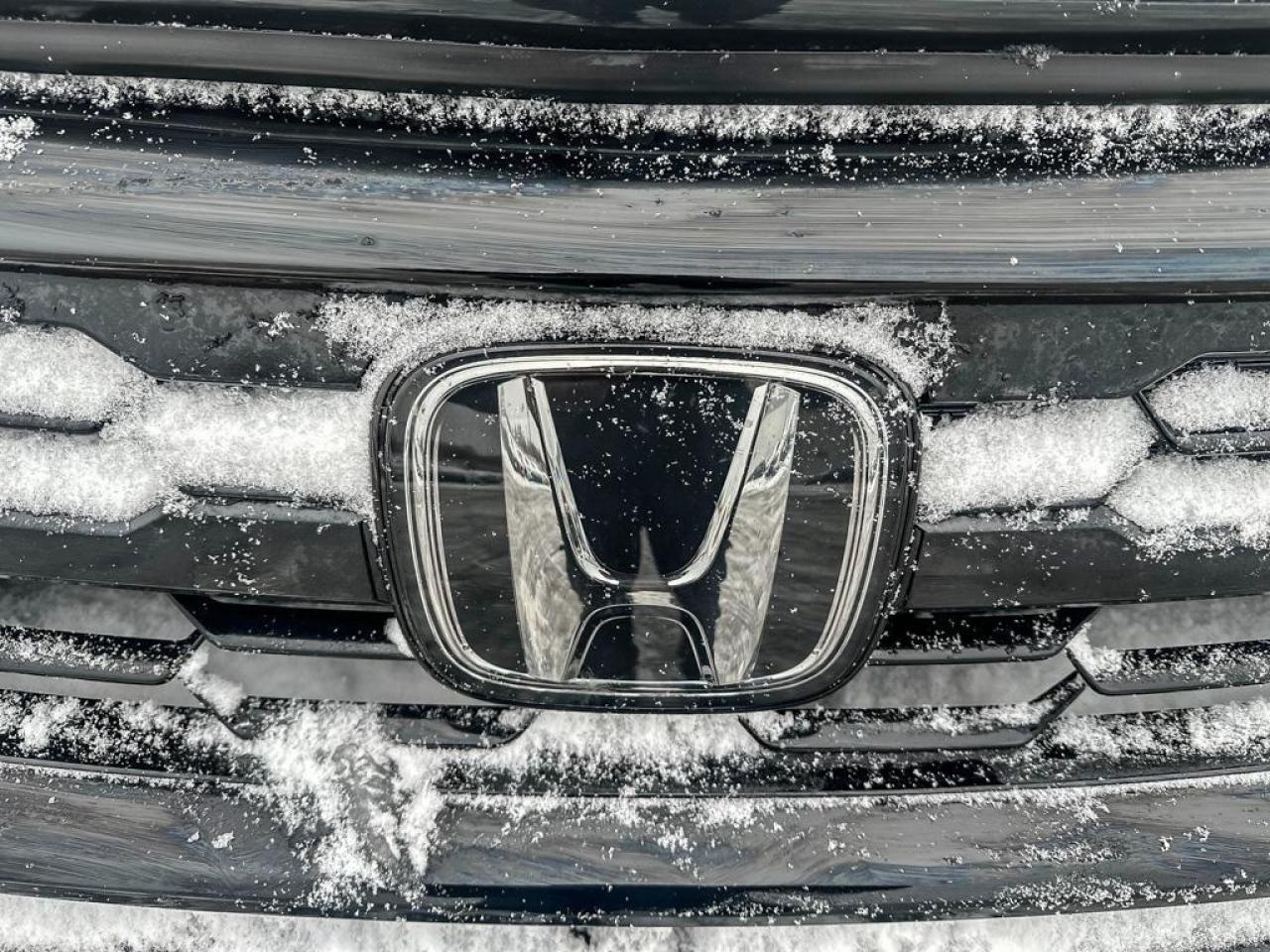 2025 Honda Odyssey Black Edition Photo