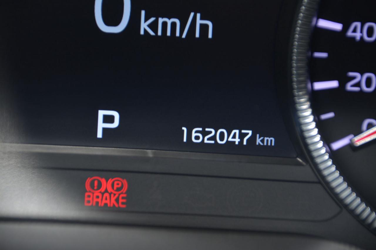 2021 Kia Telluride TELLURIDE SX Photo