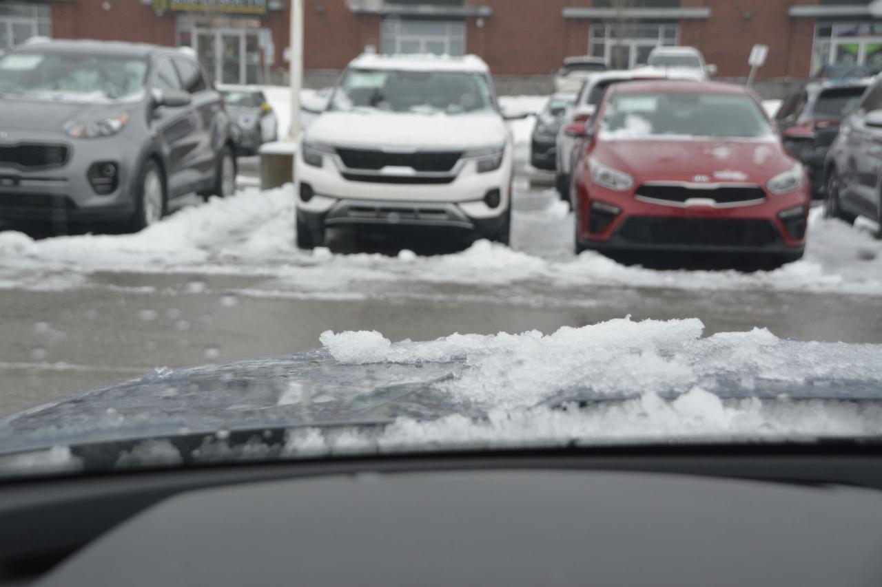 2021 Kia Telluride TELLURIDE SX Photo