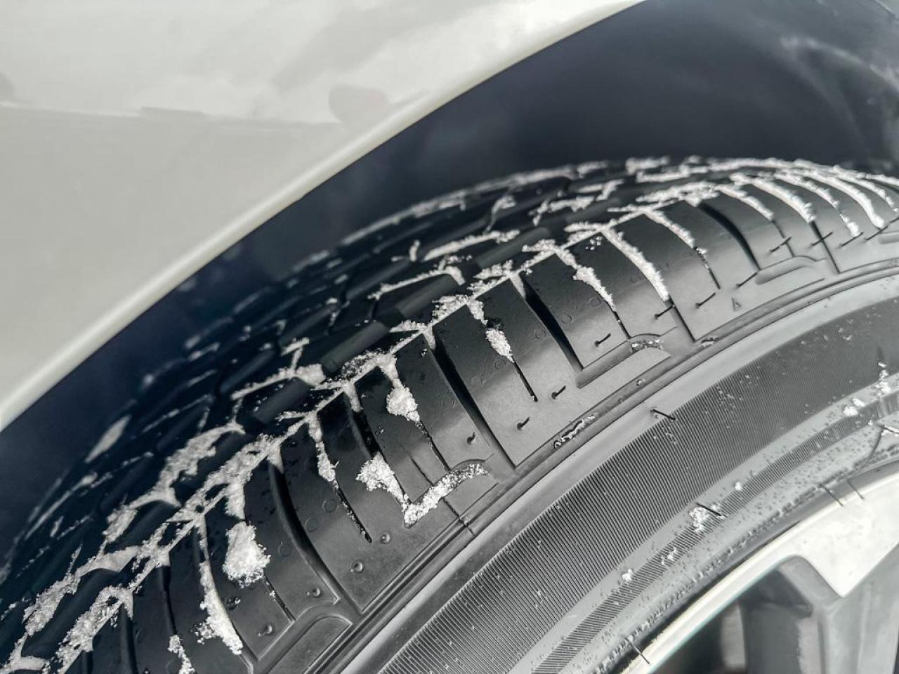 2024 Honda Odyssey Touring Photo